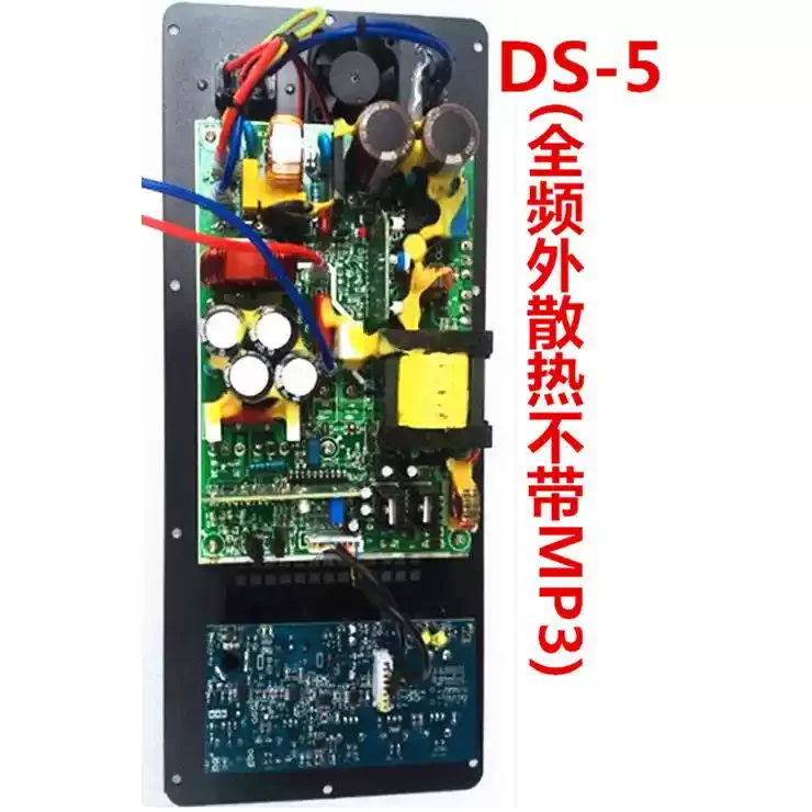 D-class Amplifier Audio Module Active Board DS-5 Digital Amplifier Full Frequency Bass Board Stage KTV