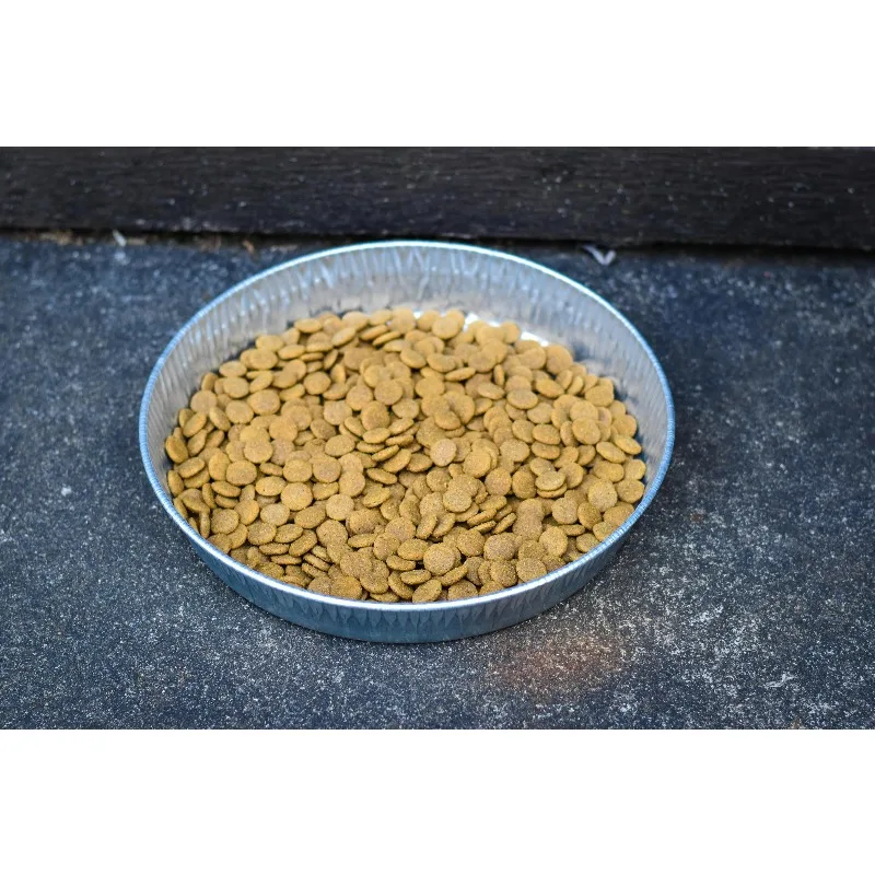 ถาดสุนัขชุบสังกะสีแบร์กัน