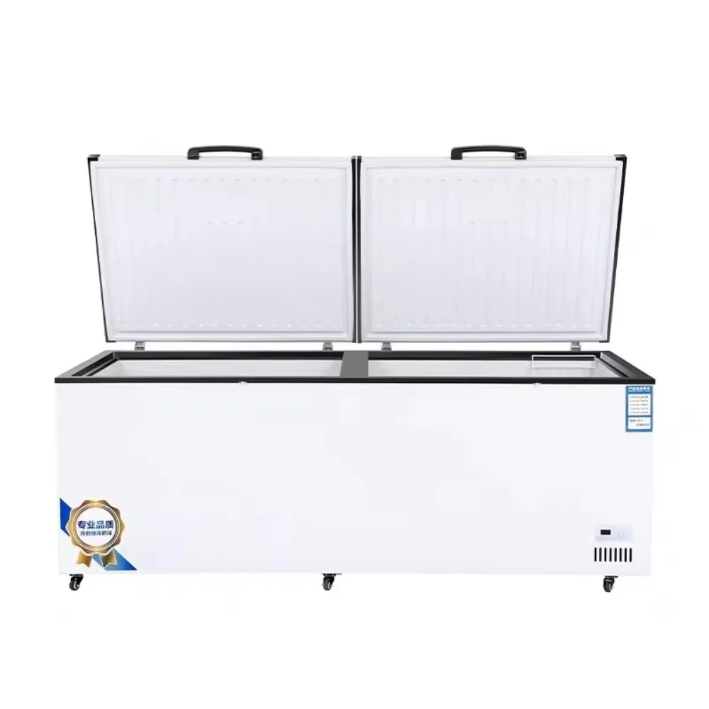 

Chest Freezer Solid door Freezer