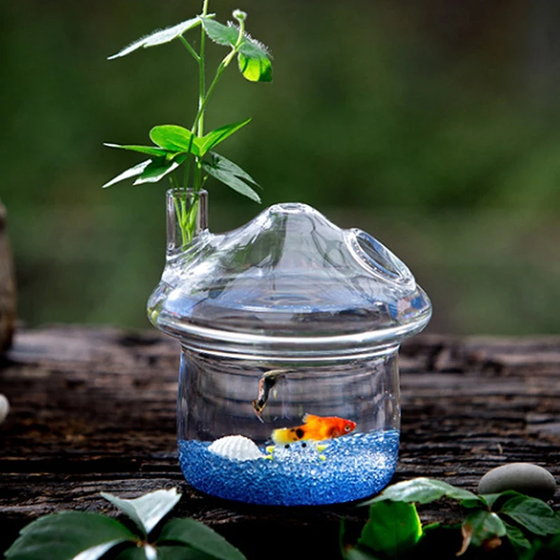 Maceta de cristal colgante en forma de seta, jarrón Rumble para pecera, contenedor de terrario, decoración del jardín del hogar