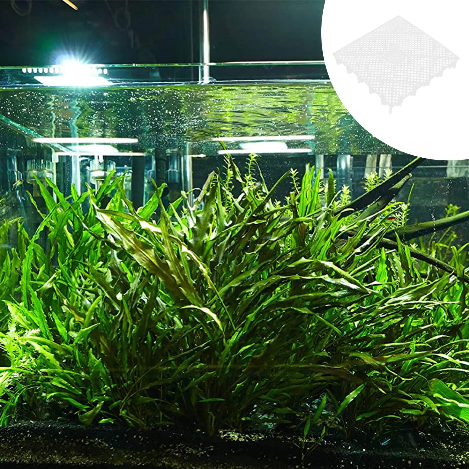 

6Pcs Aquarium Filter Plate Easy Divider Practical Gravel Filter Board for Fish Tank Use Aquarium Divider