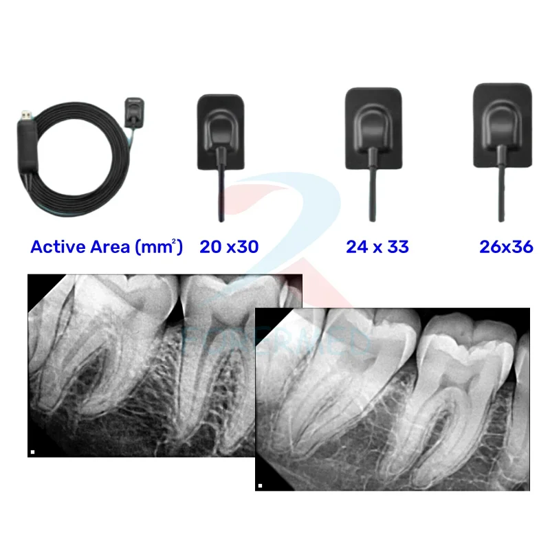 BIG 26x36 Portable Xray sensor USB Interface Digital Radiography Sensor Wireless Intraoral RVG X Ray Sensor