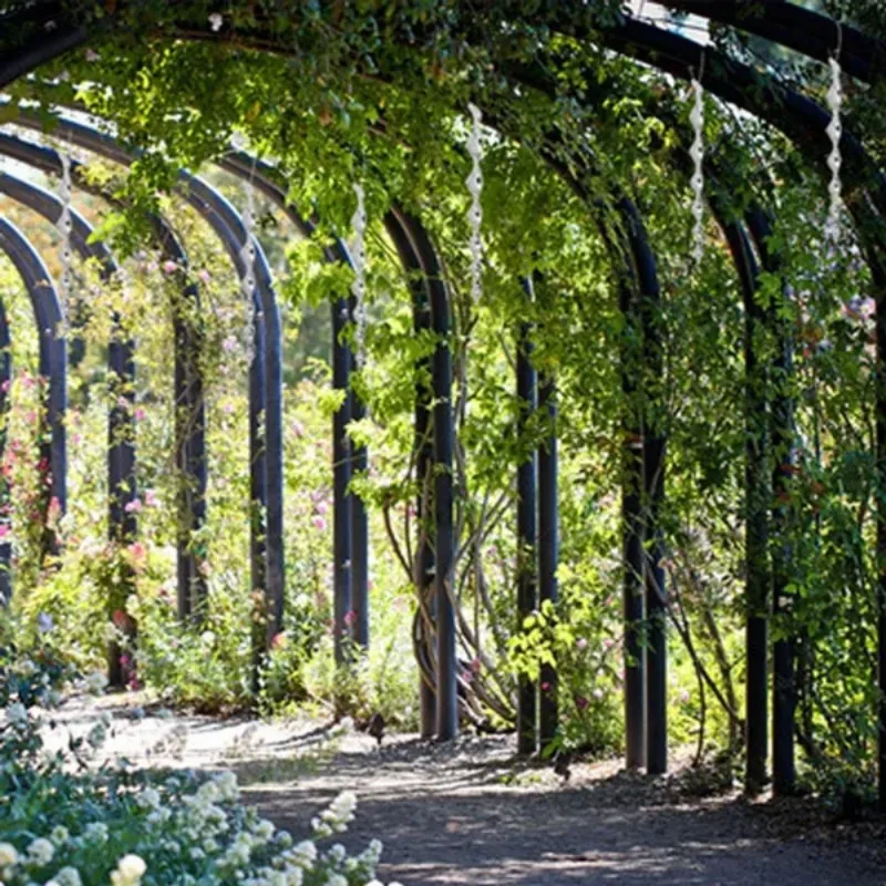 Bird Repeller Rods Reflective Wind Spiral Deterrent Control Garden Ornaments Decorative Tools 2 Pcs 5 Pcs