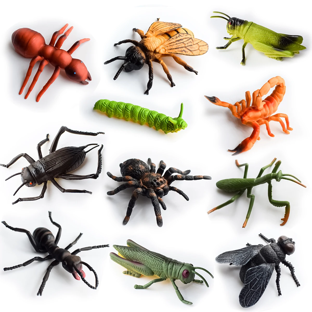 Simulated insect model | Gardening Decorative Ornaments | Desktop decoration | Teaching props | Children's Insect Awareness | Early Childhood Education at Home | Birthday, anniversary, party, holiday gifts | Halloween, Christmas, Hanukkah, Easter, Day of the Dead, Winter Gifts | Holiday atmosphere decorations | Mantis | Caterpillar | Cricket | Scorpion | Spider | Bee | Fly | Ant | Locust