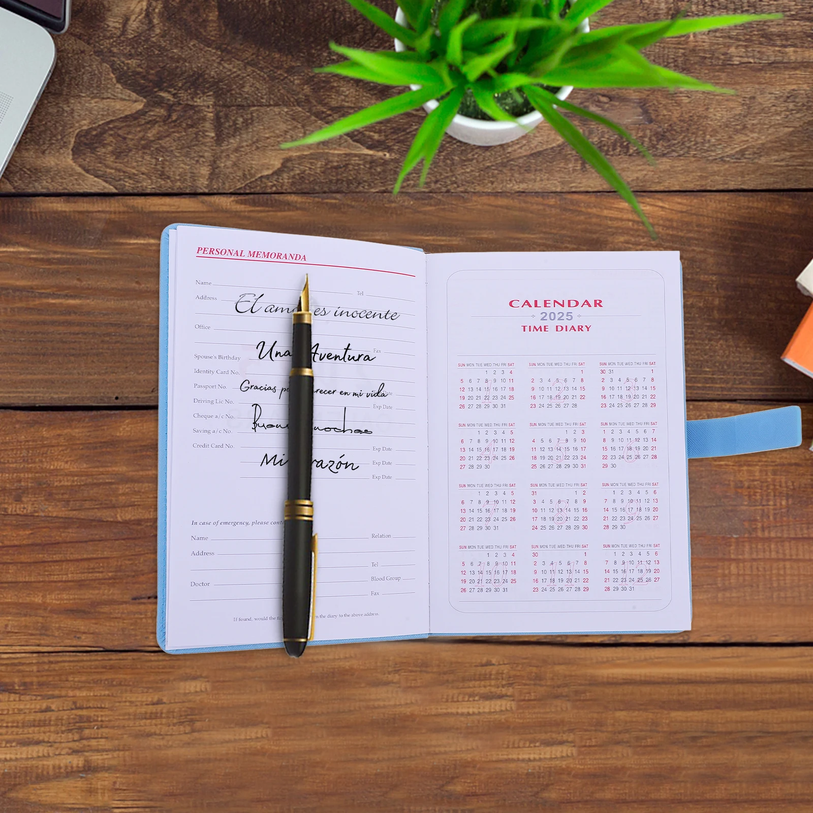 

2025 Yearly Planner Daily Task Management Notebook Portable Design Elegant Cover A5 Size Monthly Weekly Organizer