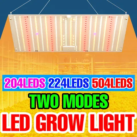 200W LED 전체 스펙트럼 양자 보드 식물 성장 빛 꽃 씨앗 실내 수경 온실 야채 재배 성장 램프