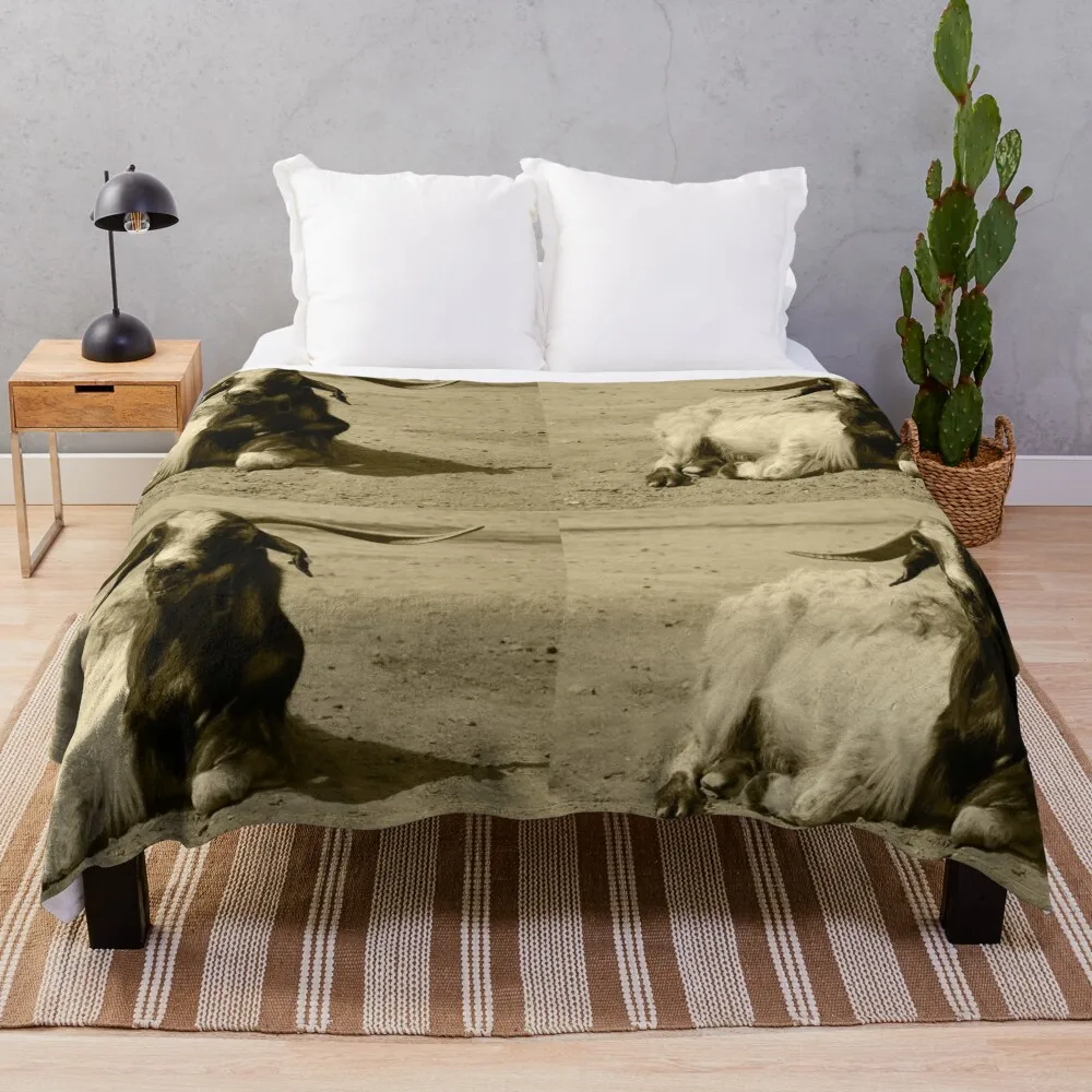 Myotonic Goat Relaxed Benidorm Tint Throw Blanket halloween Loose Blankets