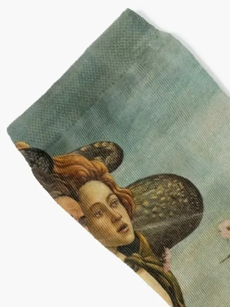 The Birth of Venus - Botticelli Socks Heating sock Children's Rugby Men's Socks Women's