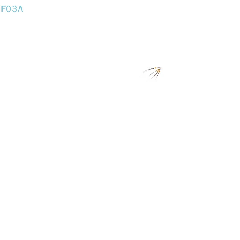 

10Pcs 10-20cm Porcupine Hairs Natural Hairs DIY Sewing Project Kits Indian Crafts Accessories