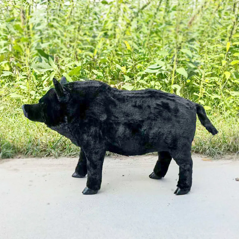 Realistic Wild Boar Model with Life-like Details | Educational Specimen for Classroom Teaching, Exhibition Display