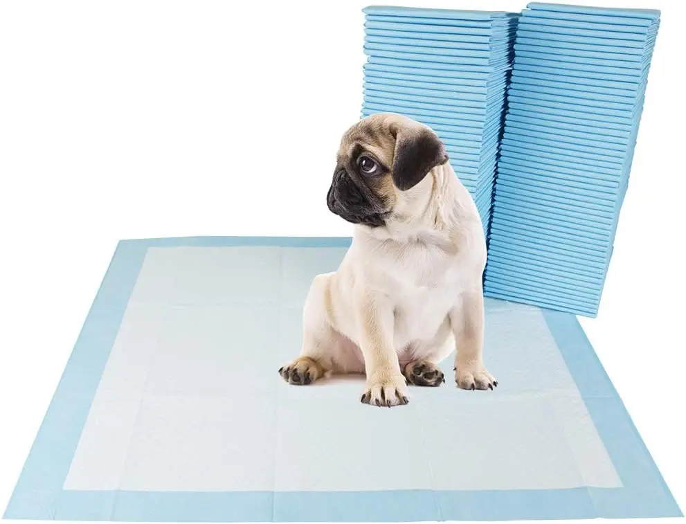 

Puppy Pads Leak-Proof 600 Count 22"x 22" - Absorbent Pee Pads for Dogs with 6-Layer Design, Rapid Dry Sheet & Built-in Attractan