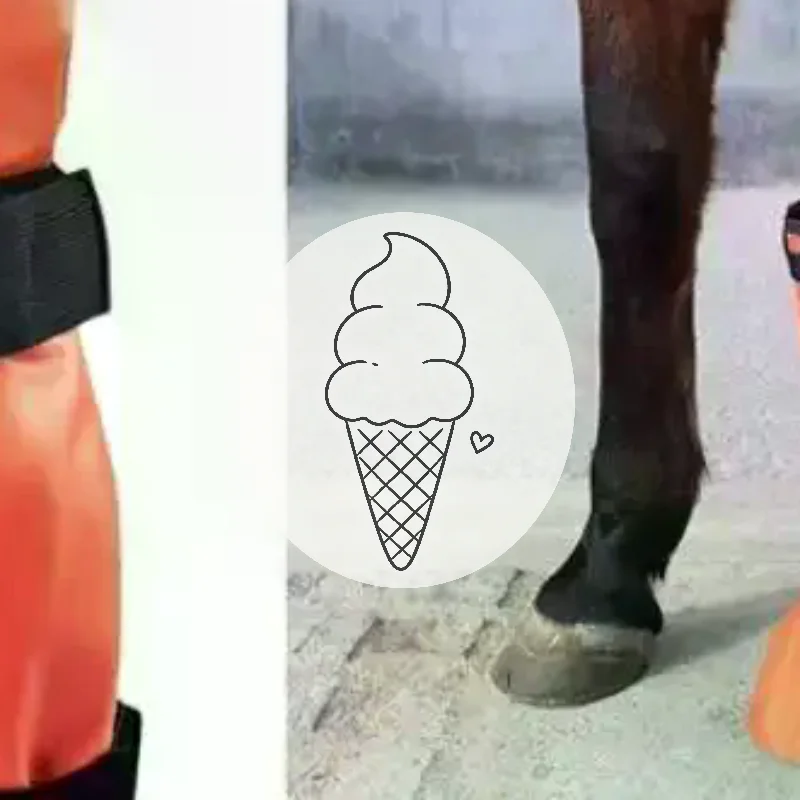 la-nova-bota-de-imersao-para-cascos-de-cavalo-1-peca-facil-de-usar-para-cuidado-equino-tipo-saco-de-imersao-para-balde
