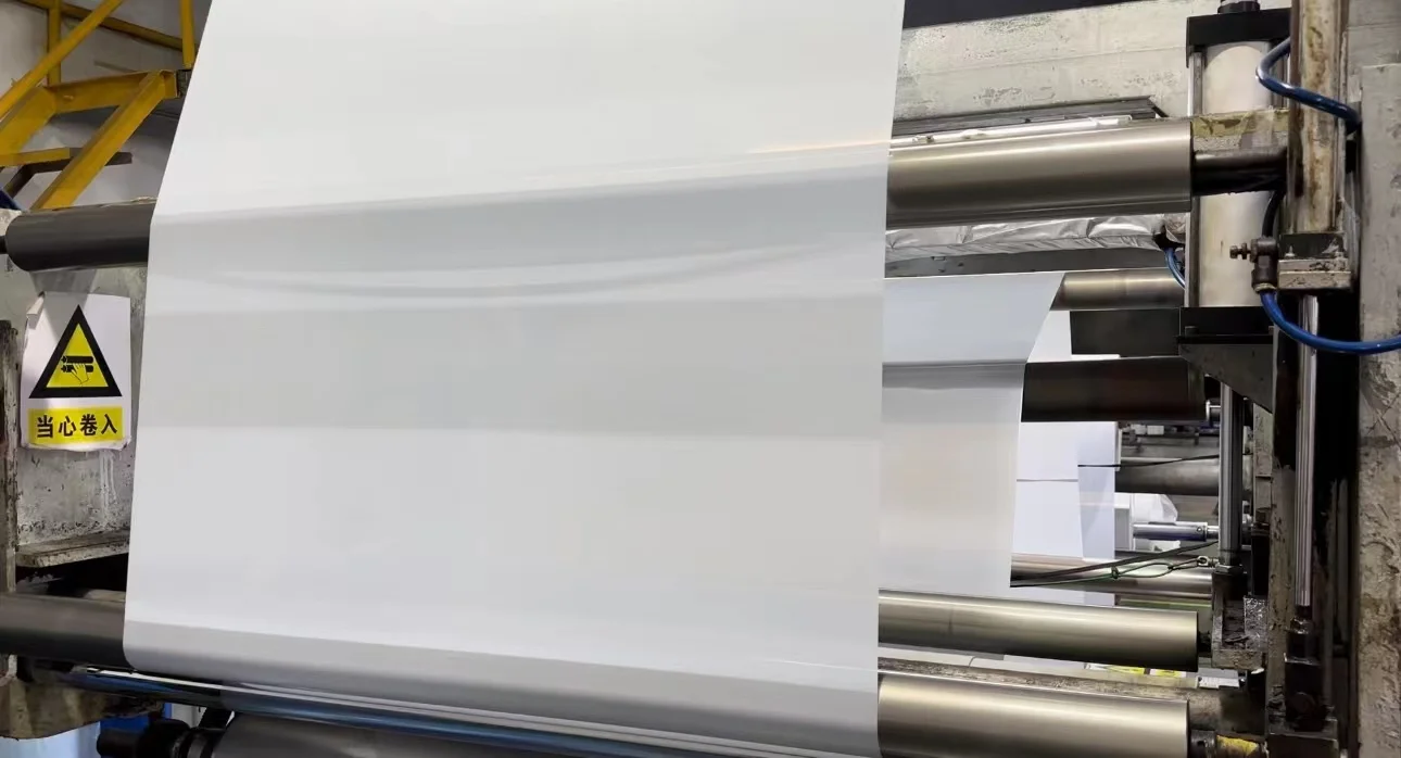 5PCS Industrial High Viscosity Dust Remove Peelable Cleanroom Sticky Mats For Home Entry Lab Factory Cleanroom Shoes Cleaning