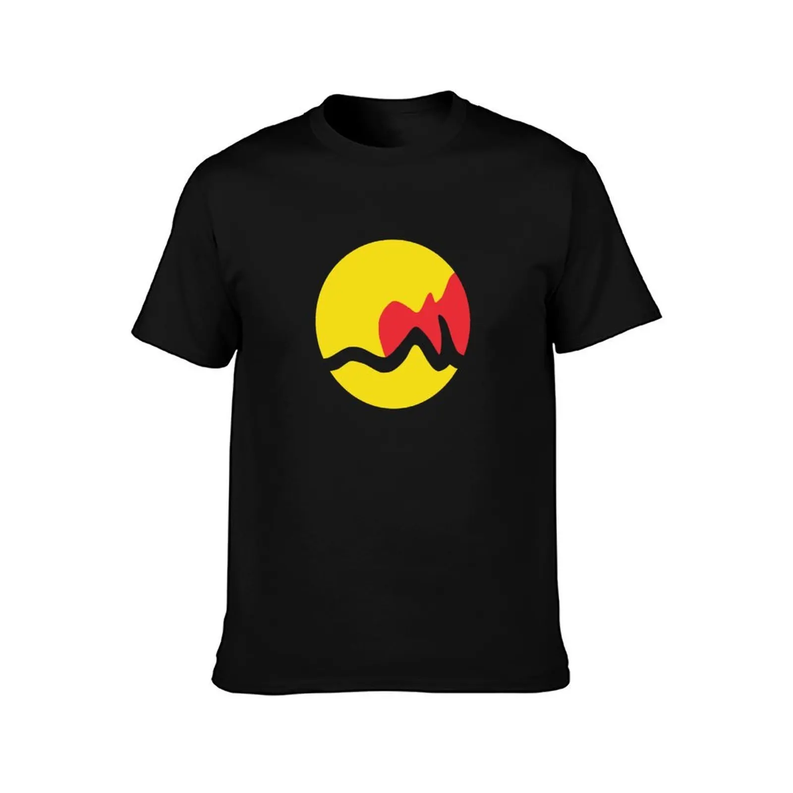 Grand Rapids Flag T-Shirt, Summer Casual Cotton Tee, Oversized Streetwear Tops, Vintage Graphic Print, Loose Fit Short Sleeve