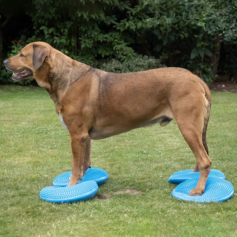 Dogs Training Aids Balance Flying Saucer Fitness Sports Muscle Atrophy Dog Agility Toy Pet Rehabilitation Training Products