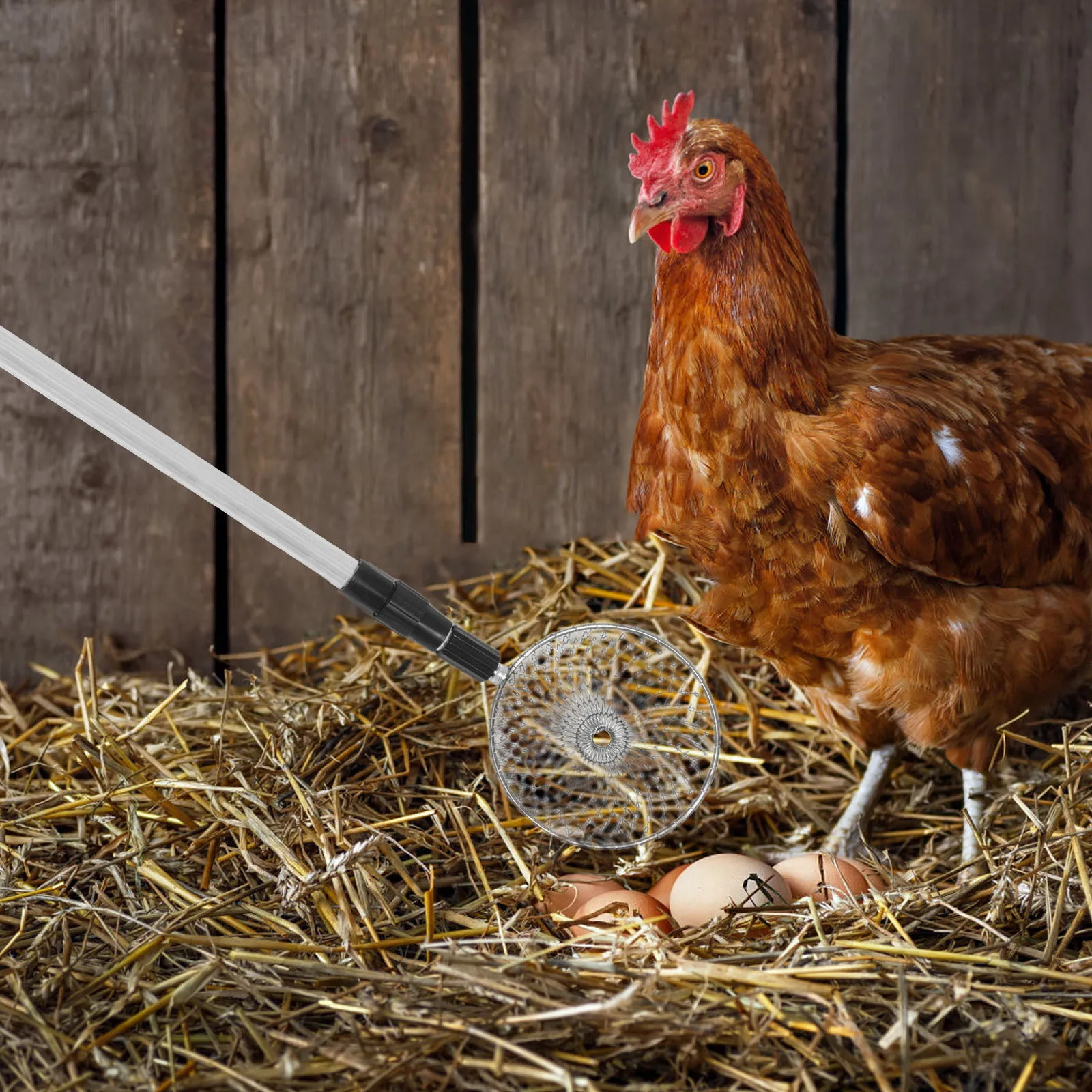 

Extendable Grabber 17.32-29.5 Inch Stainless Steel Wire Basket For Coop Nest Poultry Farm Tool Egg Grabber For Chicken