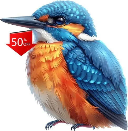 Colourful Kingfisher Bird Wall Vintage Bumper Boat Truck Window Accessory Aesthetic Unique