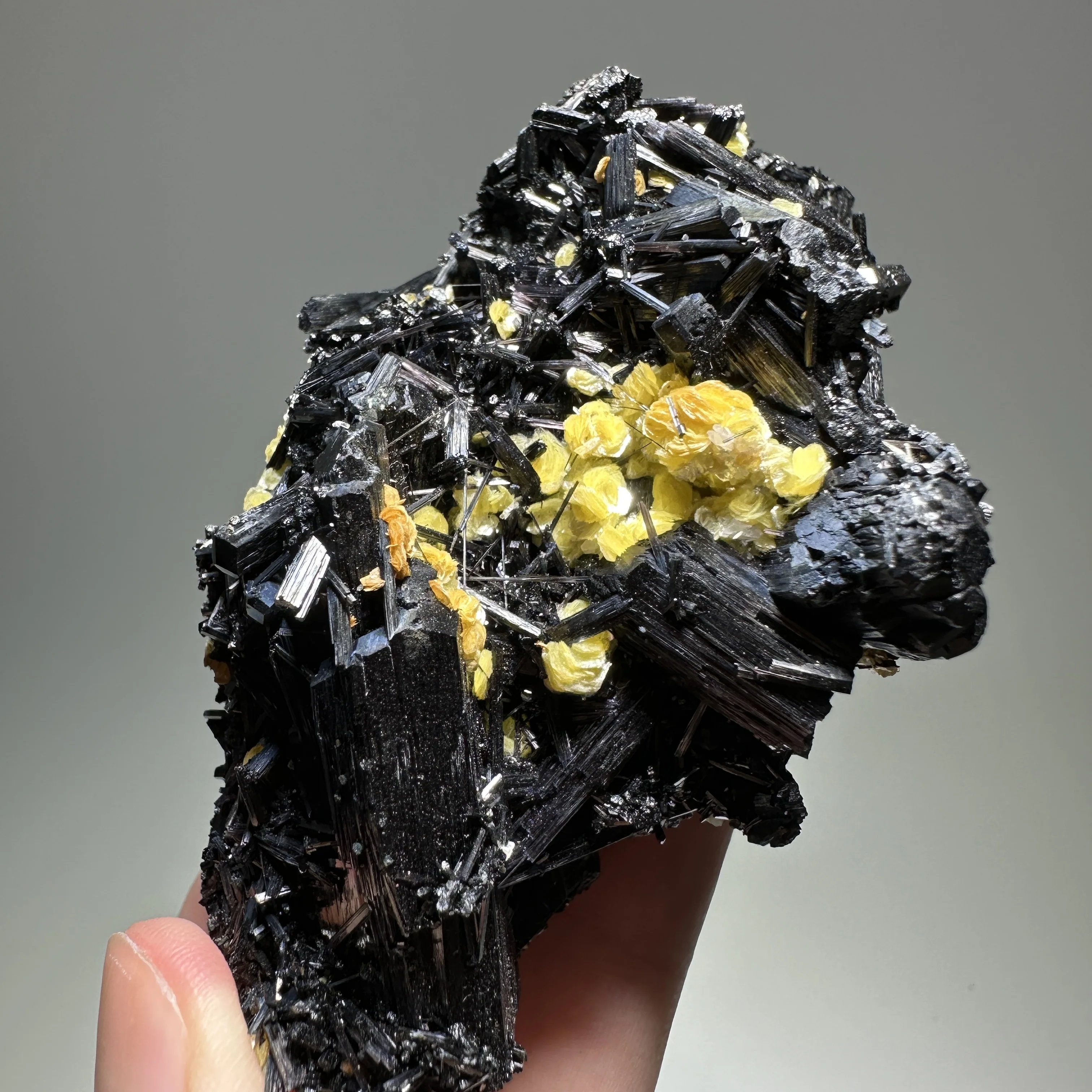 Natural Black Tourmaline Raw Specimen with Golden Mica Crystal Cluster Healing Mineral Stone Home Decor