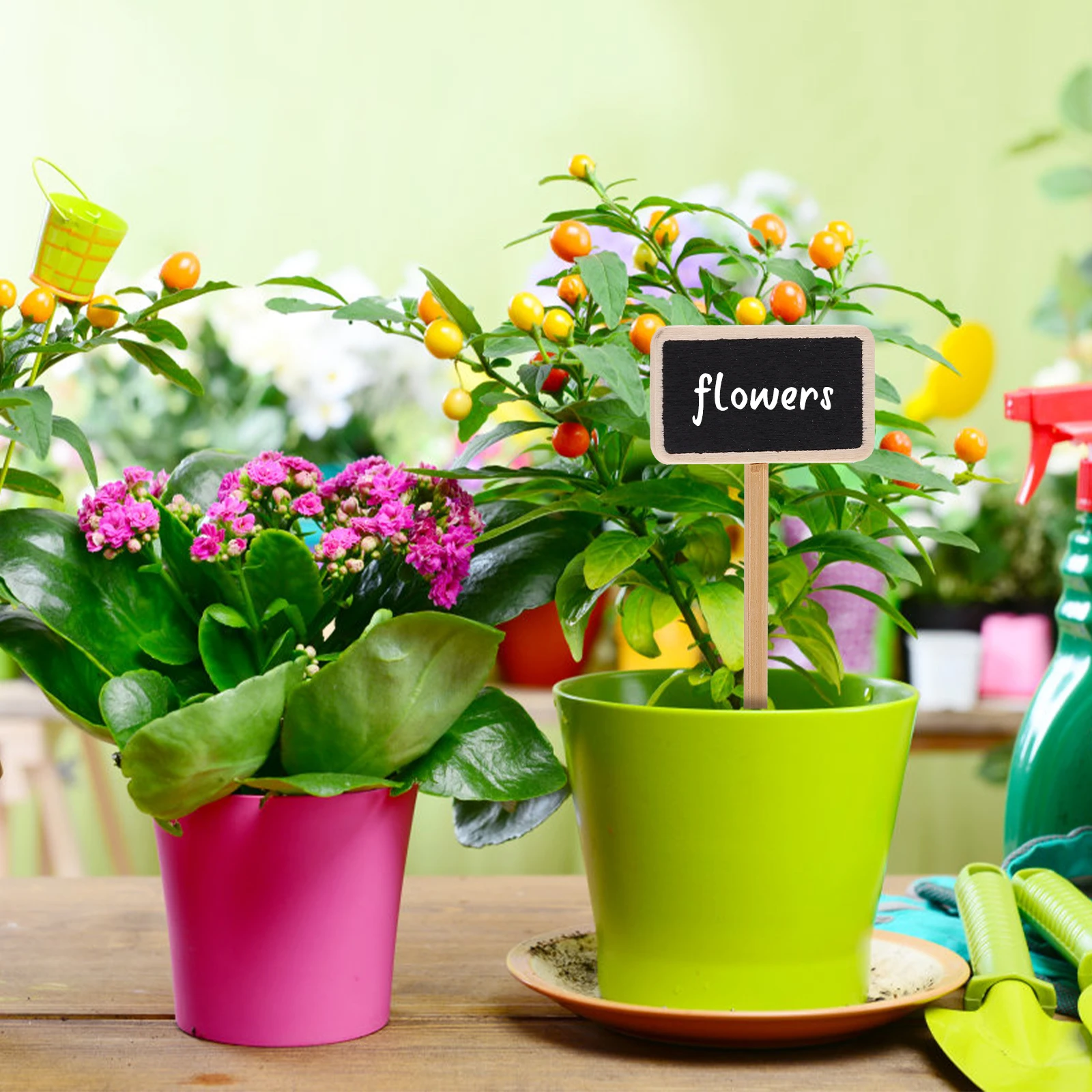 

50Pcs Creative Blackboard Shape Wooden Photo Memo Clips Sturdy Note Clamps Reusable Message Boards Blackboard Shape Clips