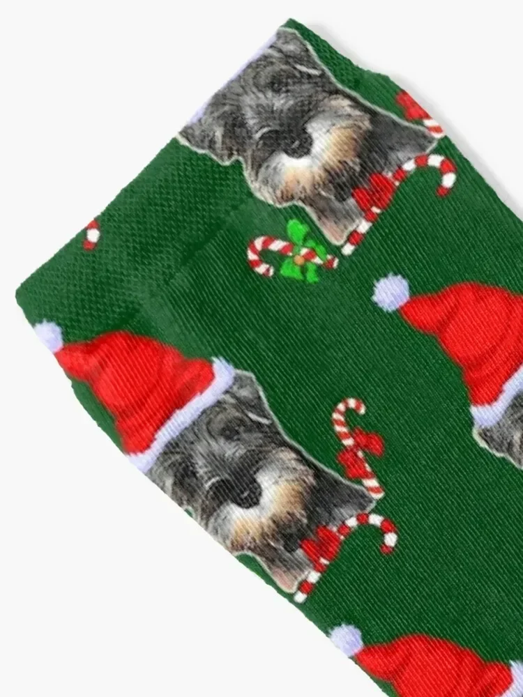 Calcetines de regalo de Navidad Schnauzer en miniatura, venta al por mayor, calcetines transparentes para hombre y mujer