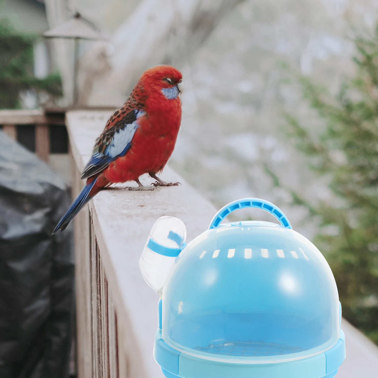 

1Set Premium Handheld Bird Parrot Carrier Cage Breathable Design with for Travel Walking Shopping Grooming