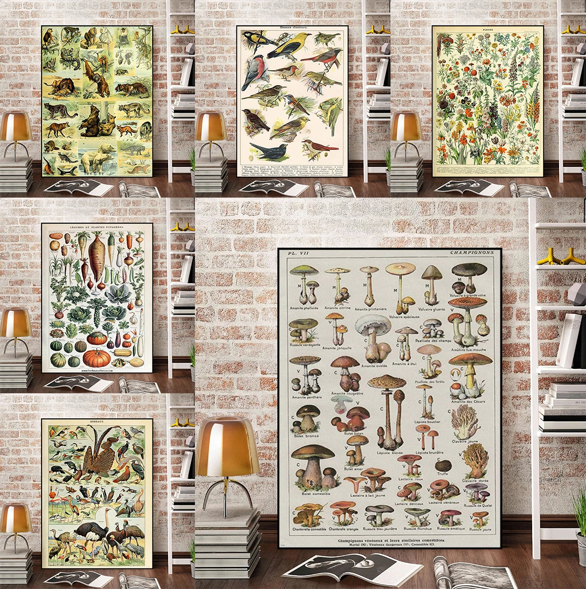 

Vintage Classic Wall Art Plants Mushroom Medicine Flower Insect Butterfly Vegetable Pumpkin Carrot Home Decor Painting Poster