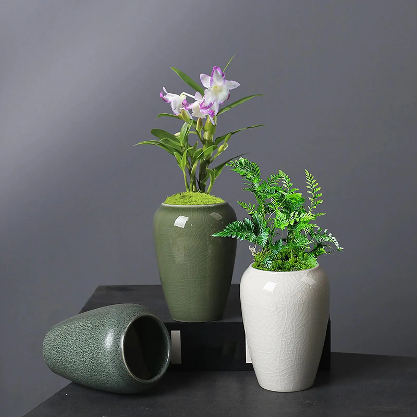 

Ceramic Succulent Plant Pot Small Handicraft Flower Pot Mini Bonsai Planter for Living Room Desktop Garden Centerpieces Decor