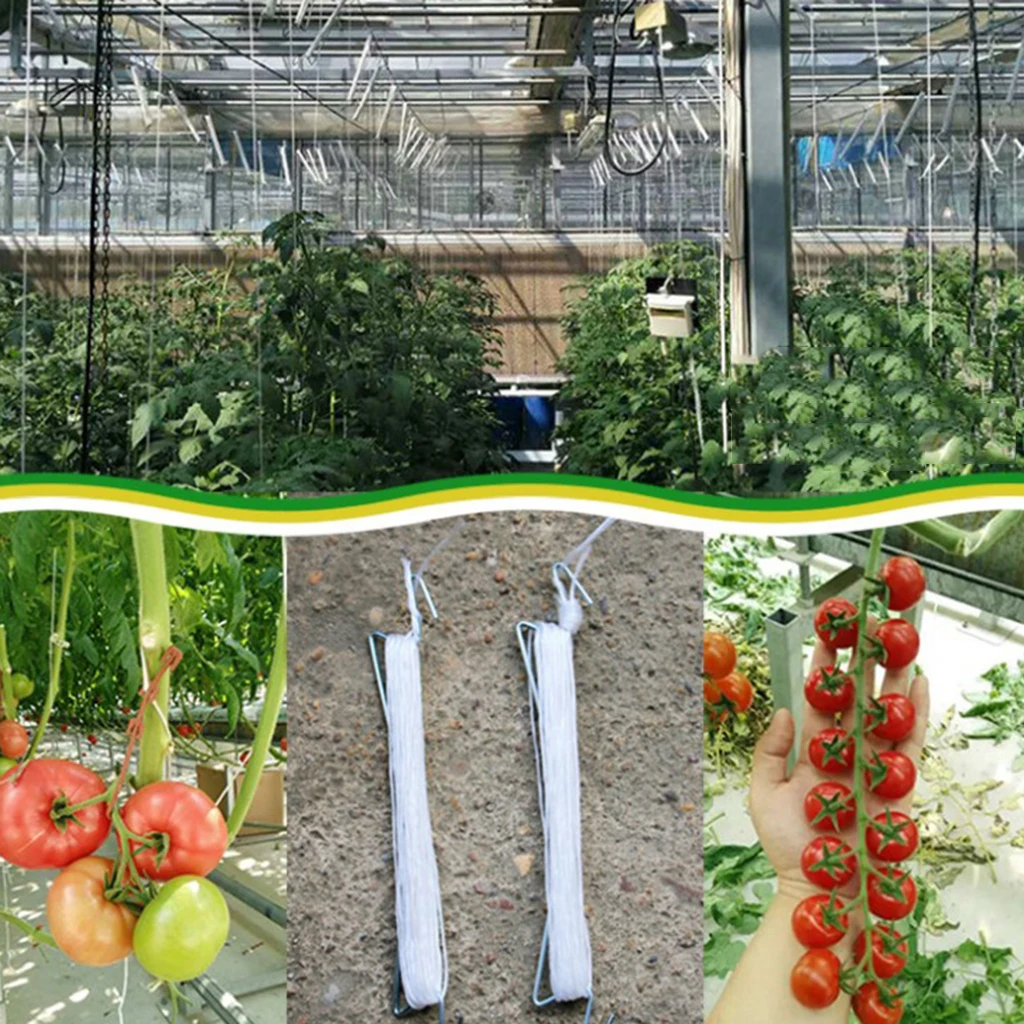 

5 Tomato Hook Clamps for Planting Cucumbers Cherries Fruit Tomatoes