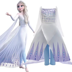 Fancy Frozen 2 Cosplay Party Costumes for Girls Anna Elsa Princess Snow Queen Tulle Dresses Halloween Carnival Clothing Vestidos