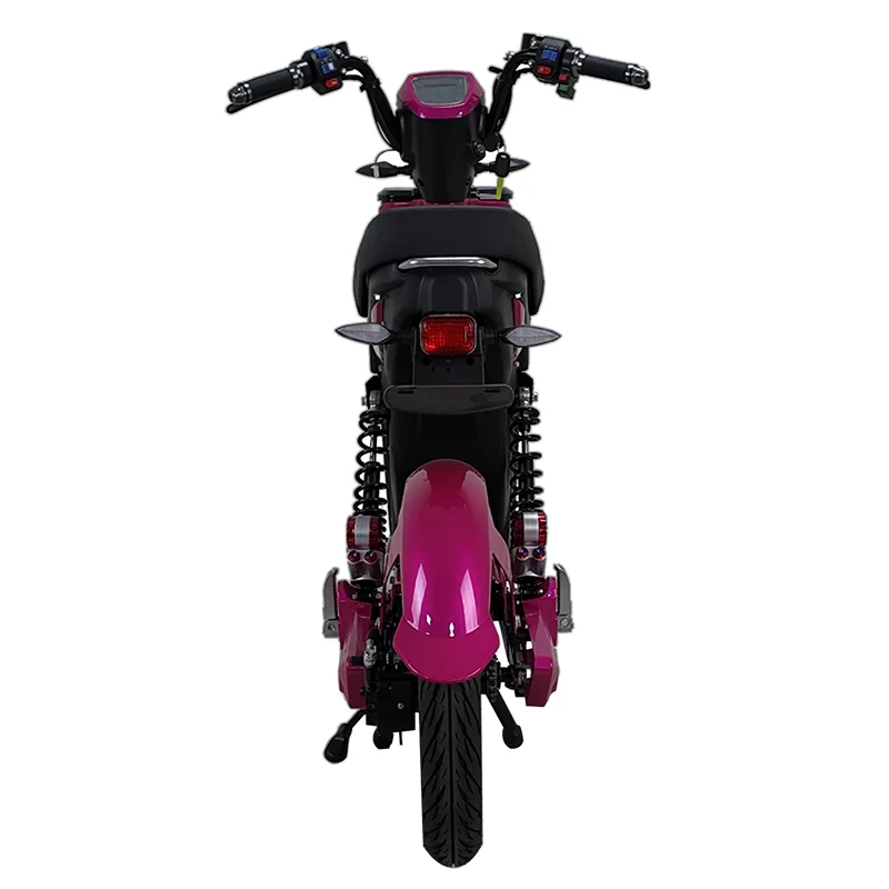 Electric Vehicle Brand New and High Quality 1200W 45km/h Electric Motorcycle Electric Bicycle image 3