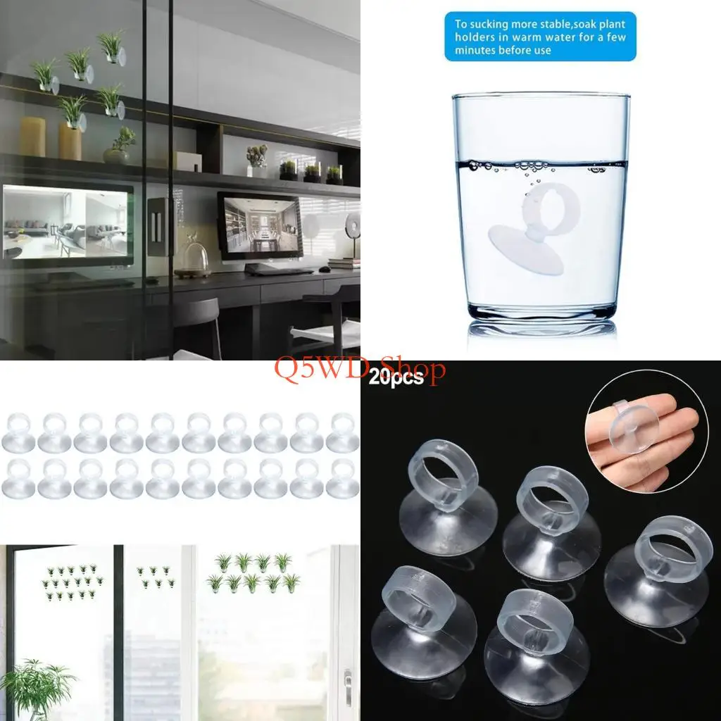 Q5WD Set of 20 Suction Cup Plant Mounts Clips for Tillandsia Display Wall Decoration