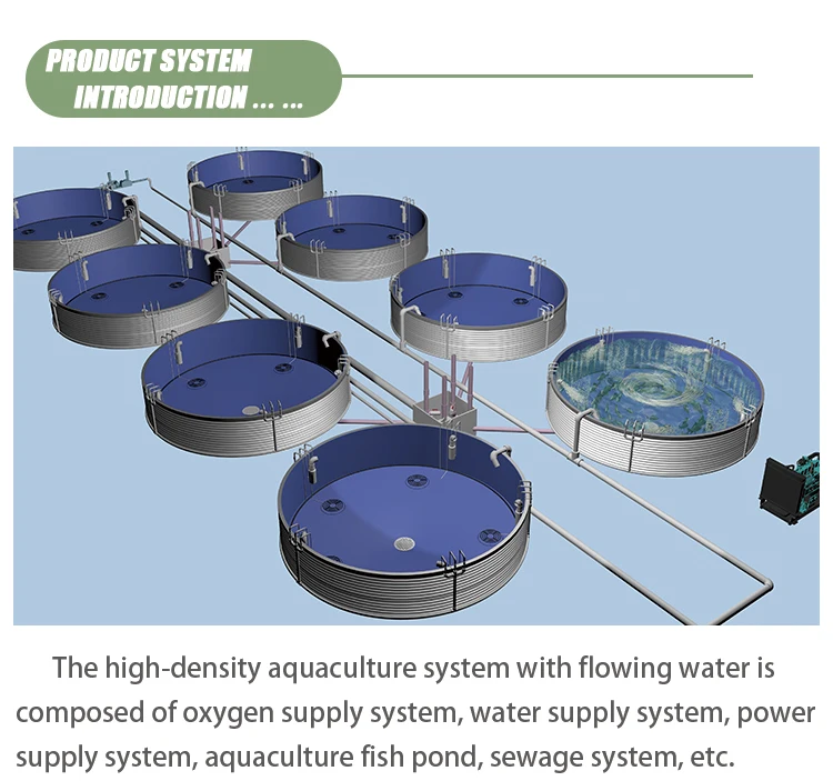 Ras System Aquaculture Pond Farming System Shrimp Tilapia Fish Farming Equipment