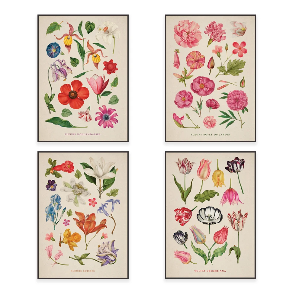 Vintage flower painting, Fleurs Suisses, tulips, Dutch flowers, rose petals, mayfly flower art, vintage botanical art poster