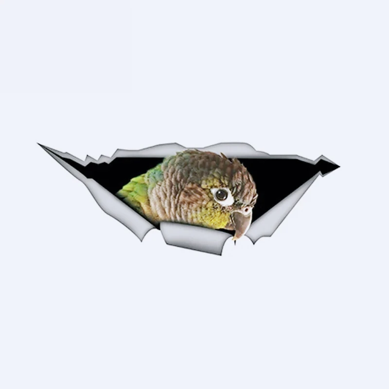 Green Cheek Conure 3D Car Sticker Funny Parrot Decal Creative Modified Waterproof Car Styling Stickersl 13cm  PVC KK