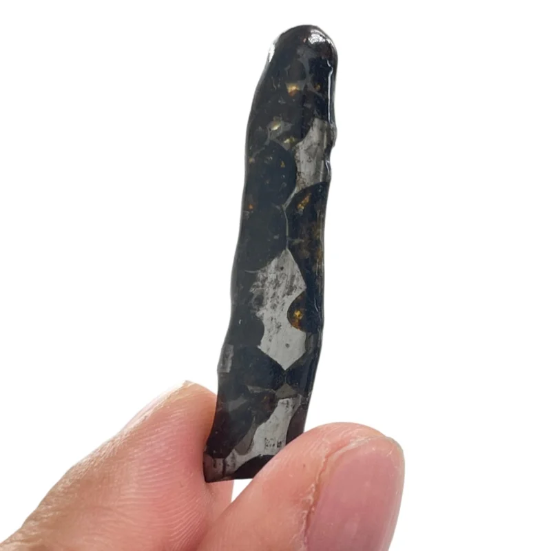Sericho Pallasite Meteorite Irregular Specimen Natural Olivine Inclusion Polished Meteorite Slice Mineral Collection -TA853