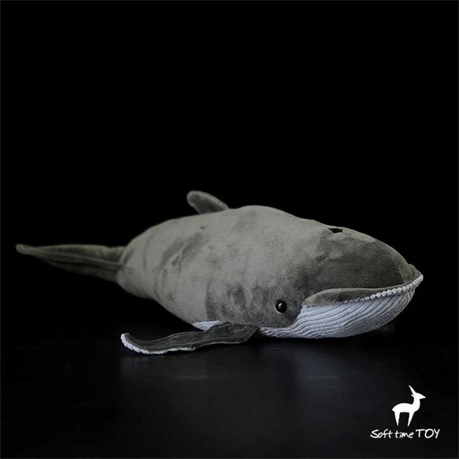 

Blue Whale High Fidelity Anime Cute Plushie Baleen Whale Plush Toys Lifelike Animals Simulation Stuffed Doll Kawai Toy Gifts Kid