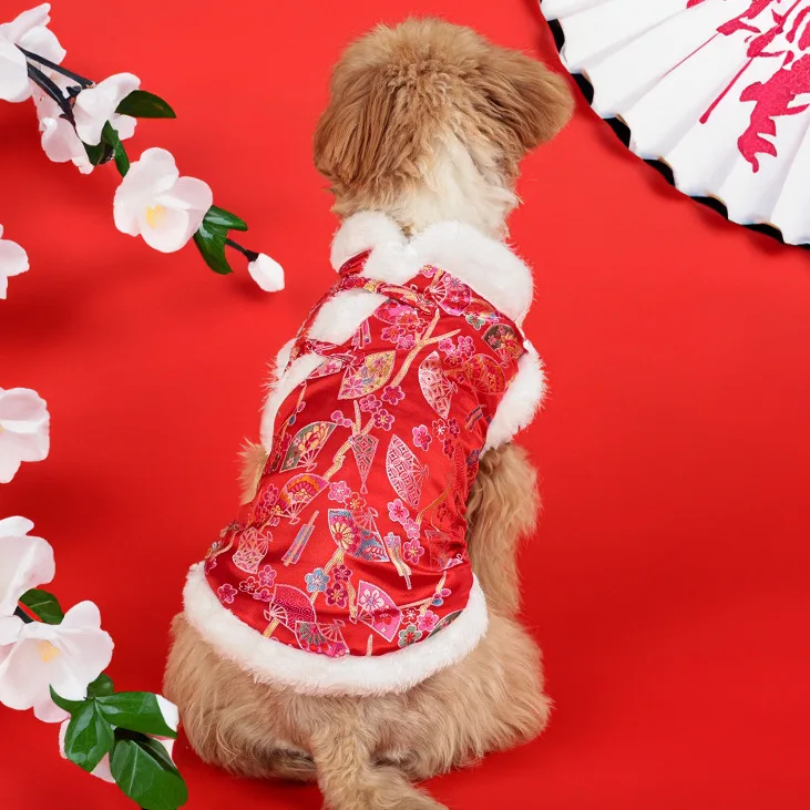 Haustierkleidung, traditioneller Tang-Anzug im chinesischen Stil, Neujahrs-Hundekleidung, Teddybär-Hunde-Outfit, Familientreffen, Cheongsam
