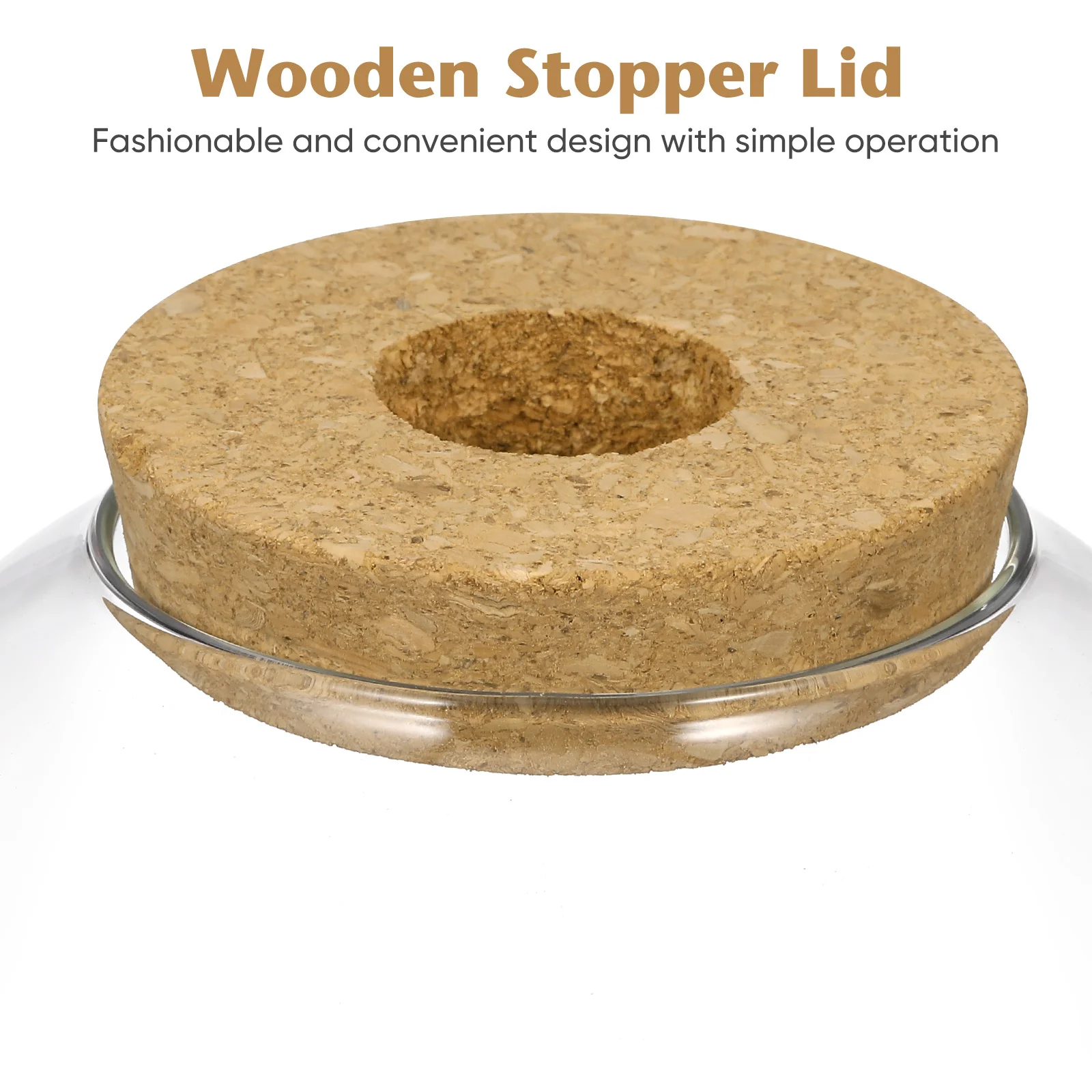 

Glass Terrarium Jar Wood Lid Miniature Garden Design Bromeliads Ferns Artistic Home Office Decor Terrarium Jar