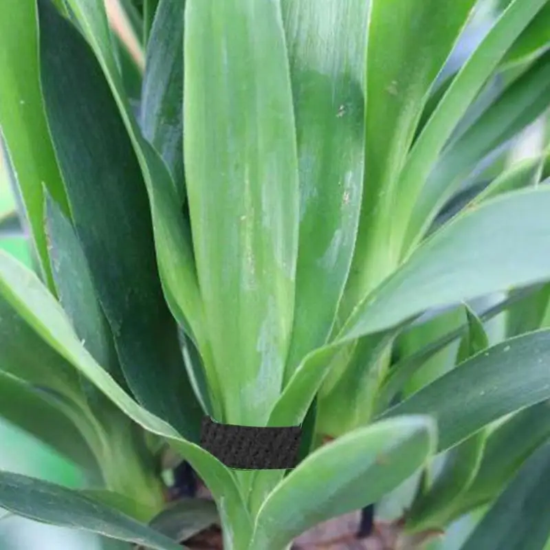 Gardening Tape Plant Twist Tie Adjustable Thickened Nylon Reusable 16.4 Ft X 0.59 Inch Supports Plants And Vines For Tree