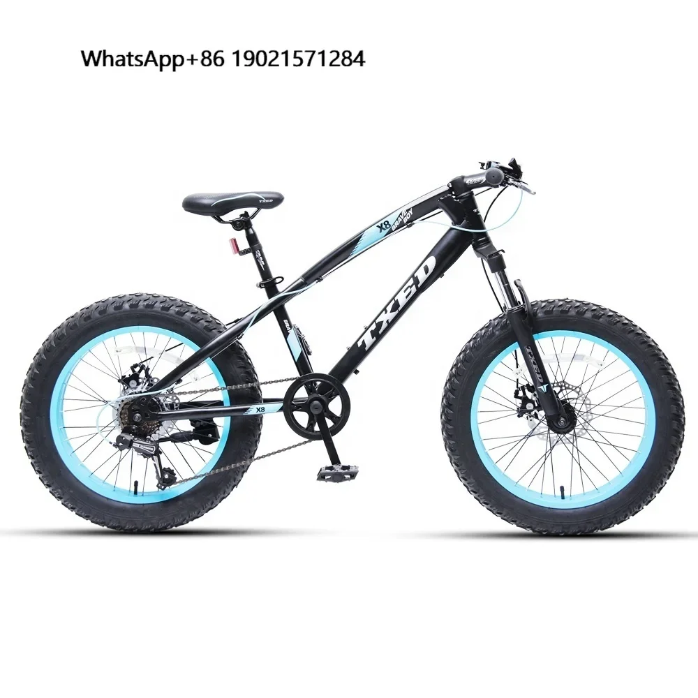 

TXED Hot Selling Steel 20'' Disc Brake Full Shockingproof Frame Suspension Fat Tire Bike