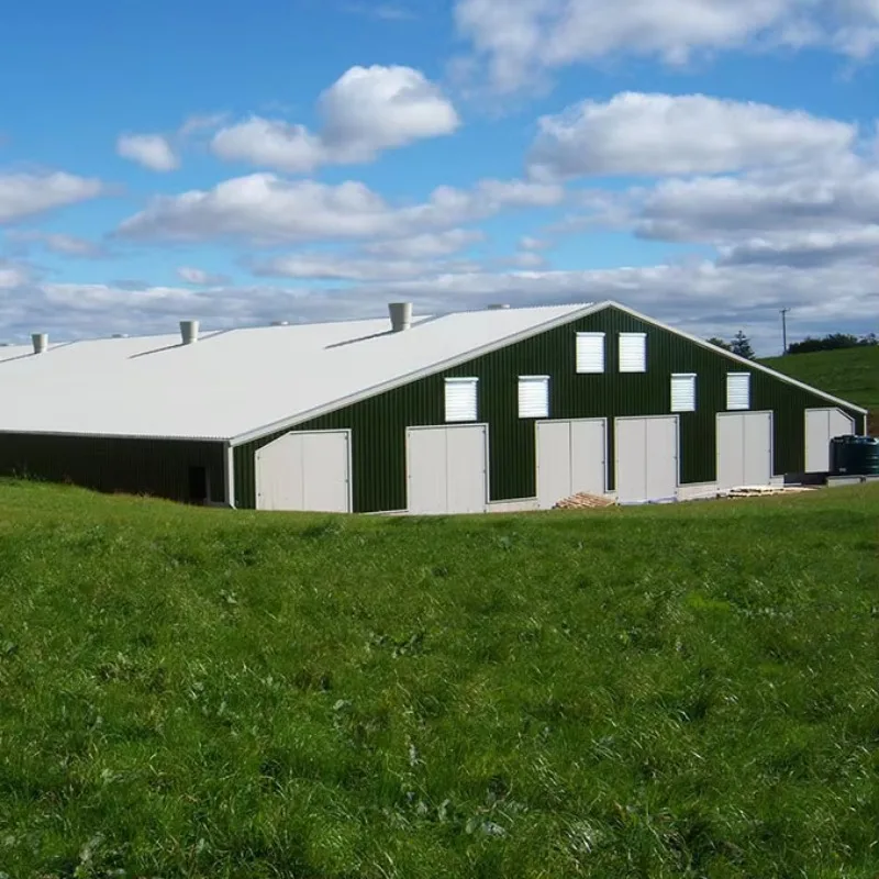 

Design for Broiler Chicken Farming Shed Durable Steel Structure Building