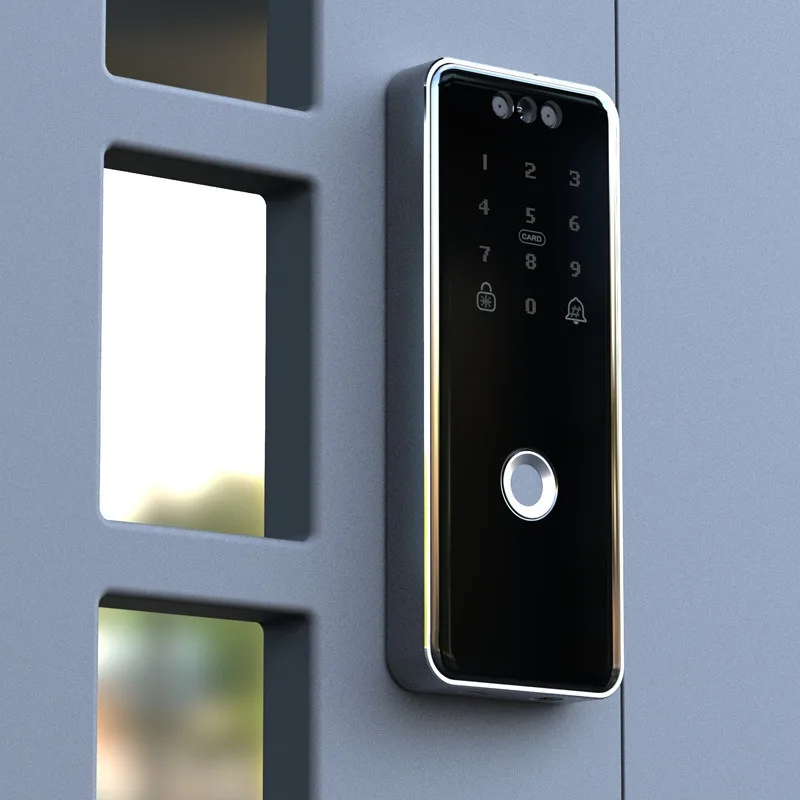 Malay special iron fence door graffiti Bluetooth linkage through double-sided facial recognition smart fingerprint lock