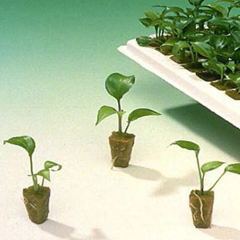 Growing Cube starter plugs grow plugs soilless cultivation soilless grow plugs