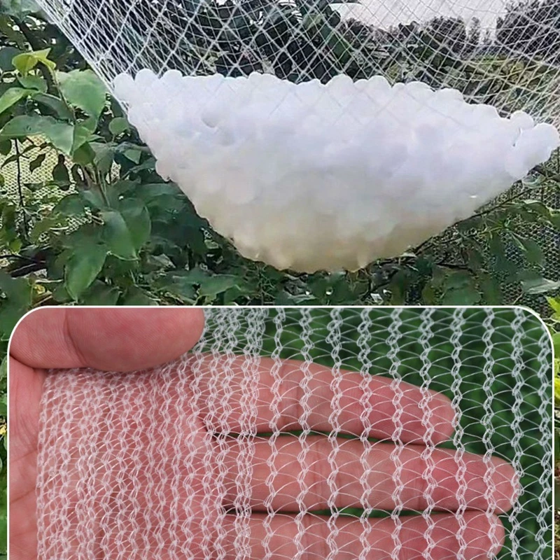 Orchard Anti Hail Net Fish Pond Anti Bird Net Berry Cherry Grape Net Greenhouse Hail Net Plants Protection Netting