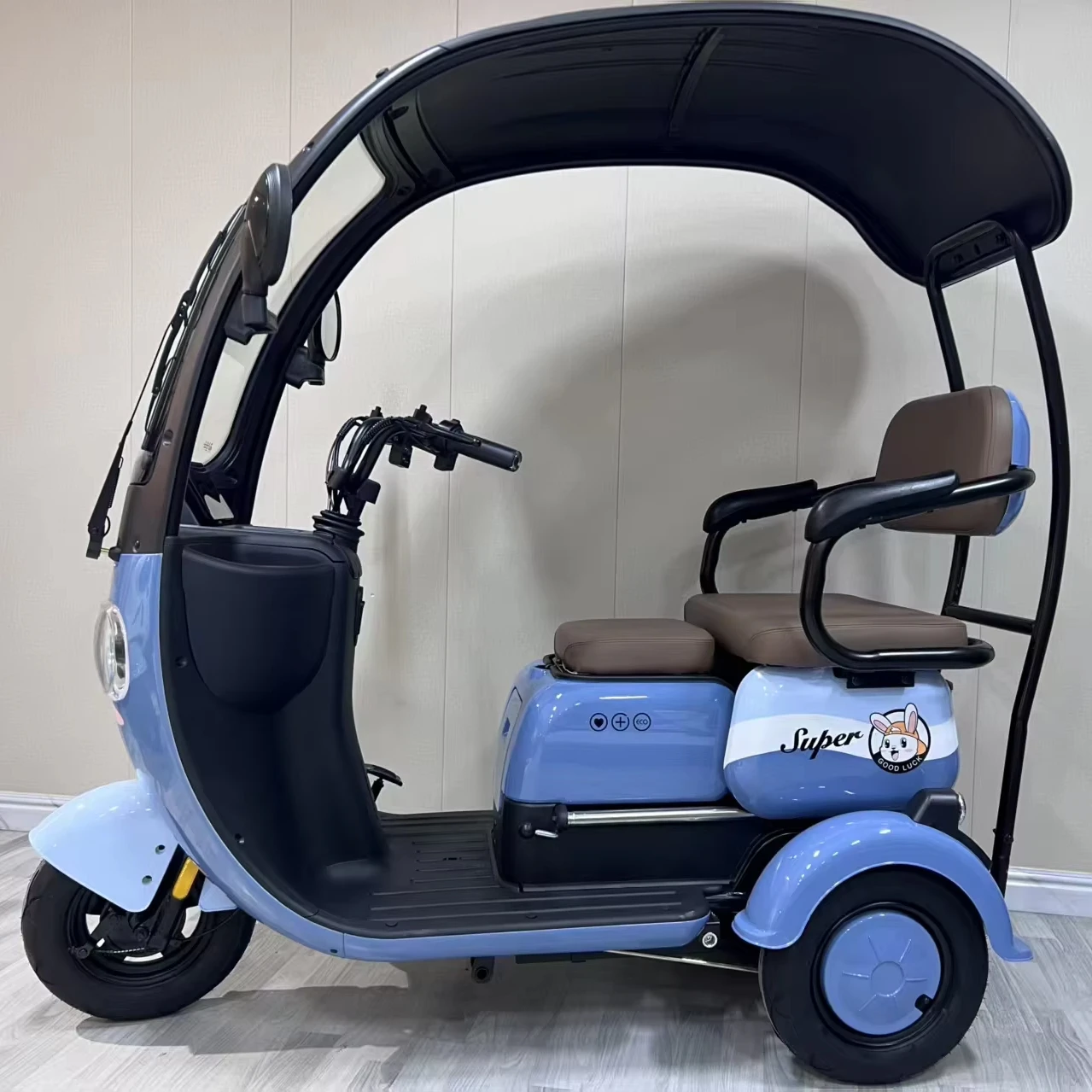 Newly Designed Electric Tricycle with Brushless Rear Hub Motor 3-Speed 800W Long-Lasting Range China Origin