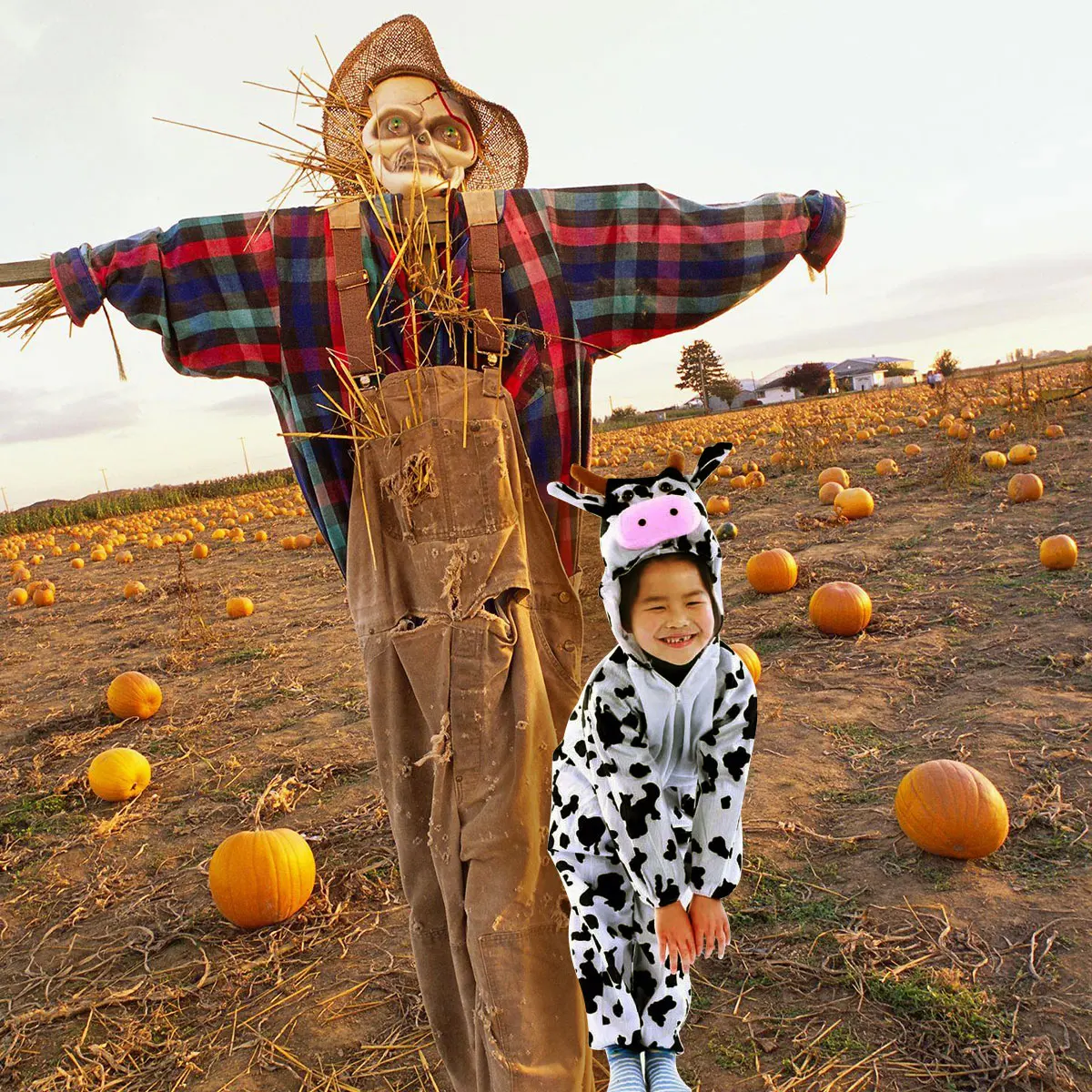 

Animal Performance Costumes Cow Baby Kids Outfits Halloween Cloth Clothing Child