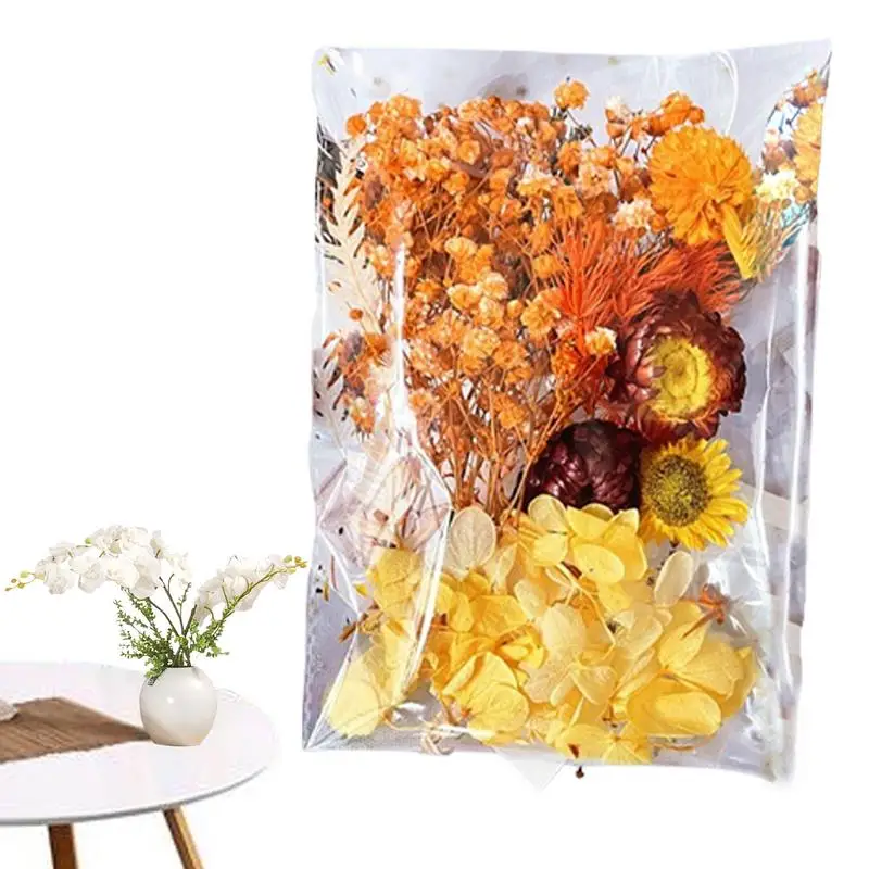 

Dried Flower Craft Crafts Accessories Dry Flower Card Decor Journaling Floral Decoration Colorful Versatile Dried Flowers Card