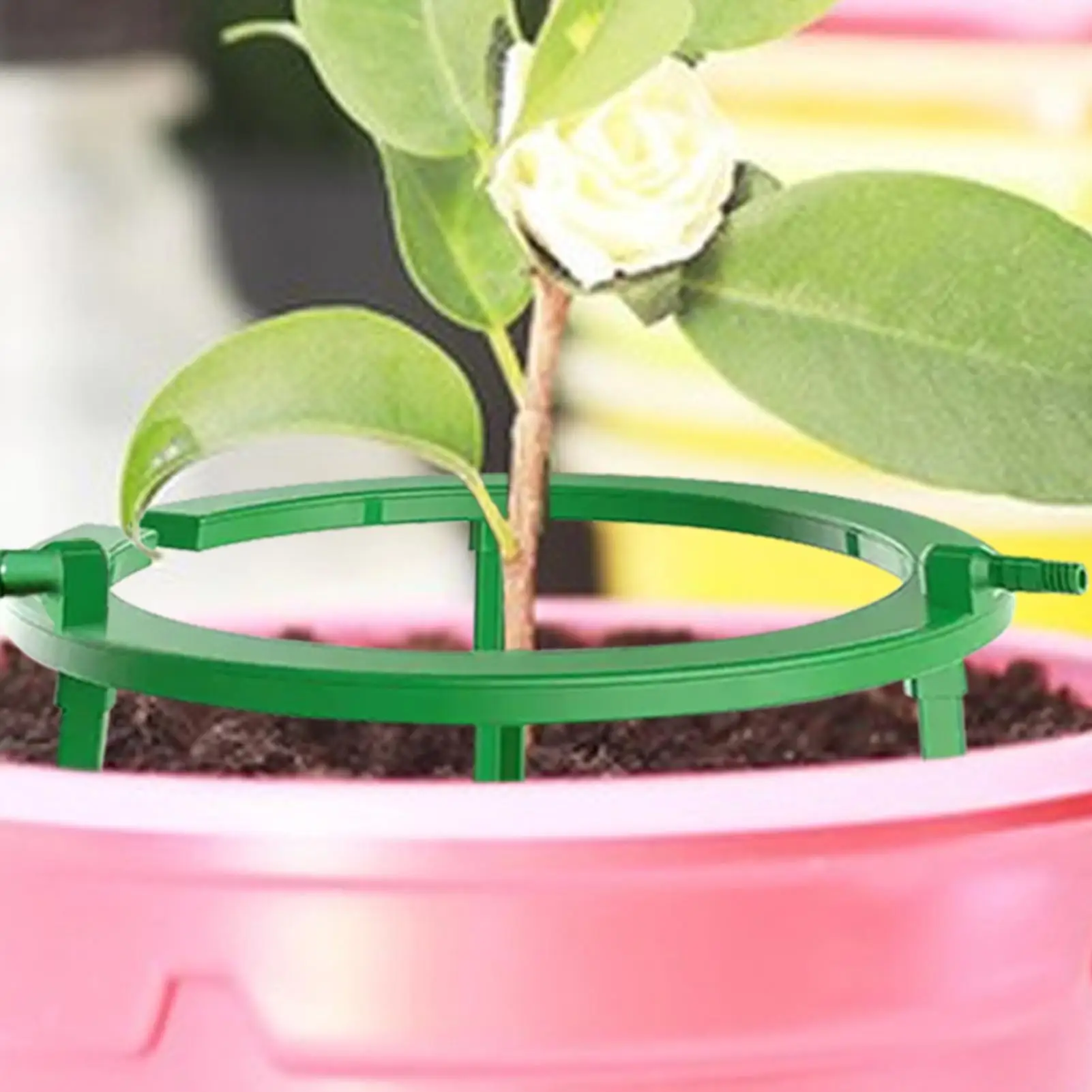 Water Rings For Plants Plant Drip Loop With Support Automatic Drip Irrigation Kits For Grow Media Rain Watering supplies
