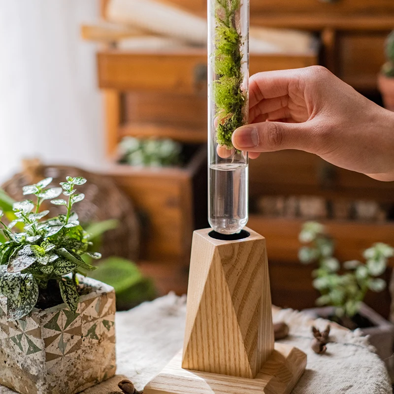 Nordic Glass Test Tube Vase Luxury Hydroponic Plants Terrarium Flower Vessel with Wooden Base Home Living Room Desk Decoration