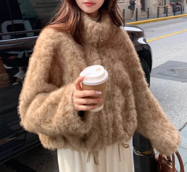 Chaqueta gruesa y cálida con cuello levantado para mujer, Top coreano de manga larga, holgado y versátil, Color café, Otoño e Invierno